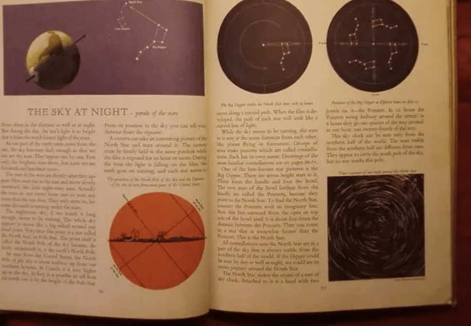 复旦创始人：我是一条狗，吠叫了一百年，也没有把中国叫醒 - 万事屋 | 生活·动漫·娱乐综合社区-银魂同好聚集地