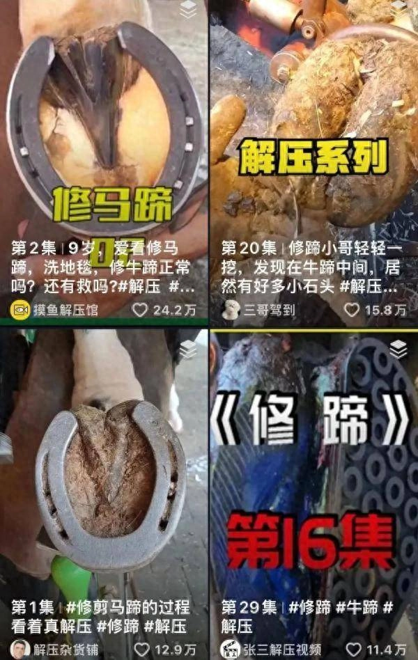 既解压还能进事业编？上海这个岗位一出，网友沸了：梦中情职！ - 万事屋 | 生活·动漫·娱乐综合社区-银魂同好聚集地