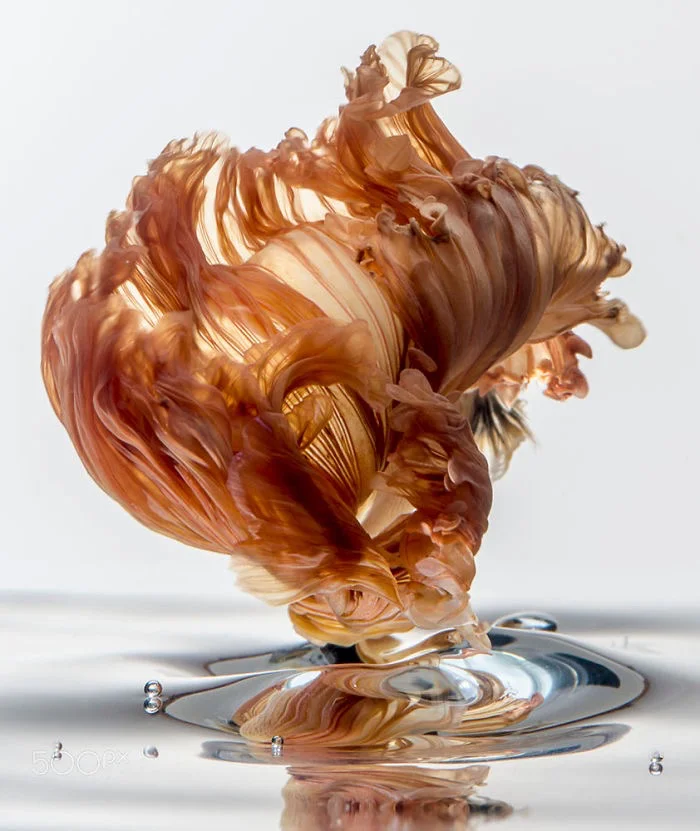 图片[14] - 转个冷知识：iPhone6s包装盒上是什么鱼？ - Apple银魂 - 科技改变生活 - 万事屋 | 生活·动漫·娱乐综合社区-银魂同好聚集地