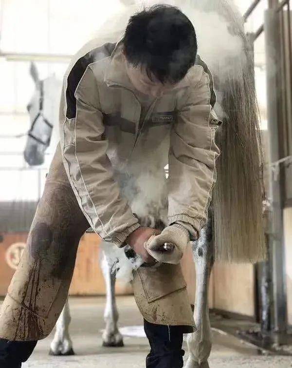图片[6] - 既解压还能进事业编？上海这个岗位一出，网友沸了：梦中情职！ - 万事屋