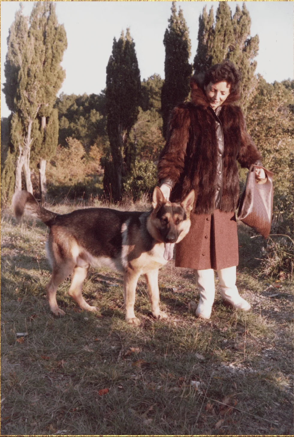 图片[40] - 炫富20年，身价41亿，最贵“小狼狗”彻底翻车！网友：真的是人不如猫狗 - 吐槽银魂 - 大众生活 - 万事屋 | 生活·动漫·娱乐综合社区-银魂同好聚集地