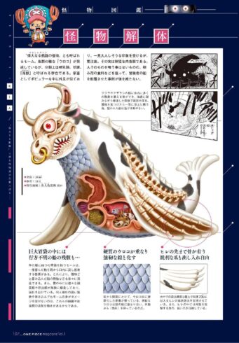 《海贼王》巨怪解剖图鉴，那些拥有惊人尺寸的怪物和身体构造 - 万事屋