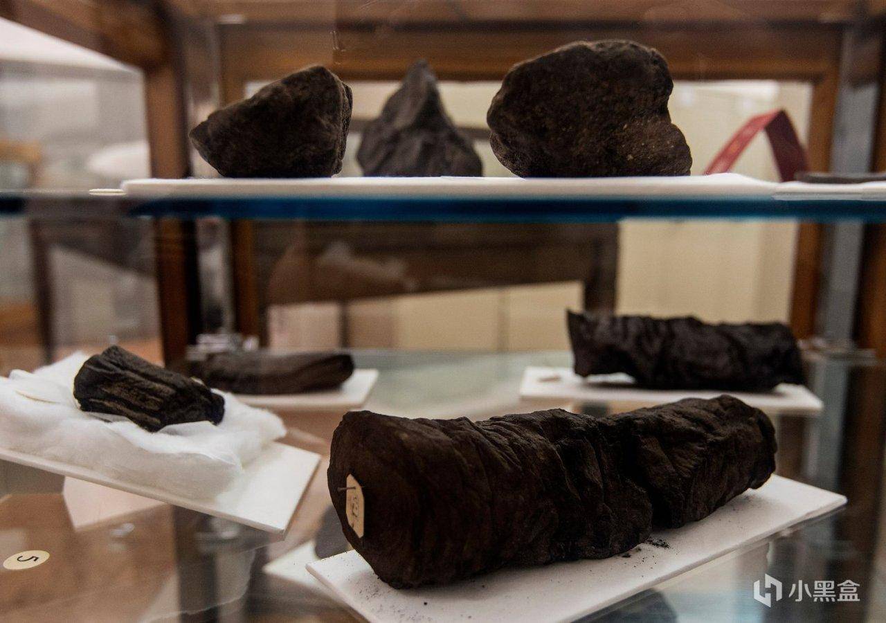 图片[5] - 21岁天才用AI破译2000年前碳化卷轴，分100万美元大奖，登Nature头版！ - 万事屋