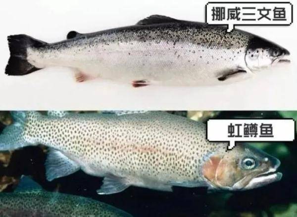 图片[6] - 山姆默默改了说明，好多人不敢买了！回应来了…… - 万事屋