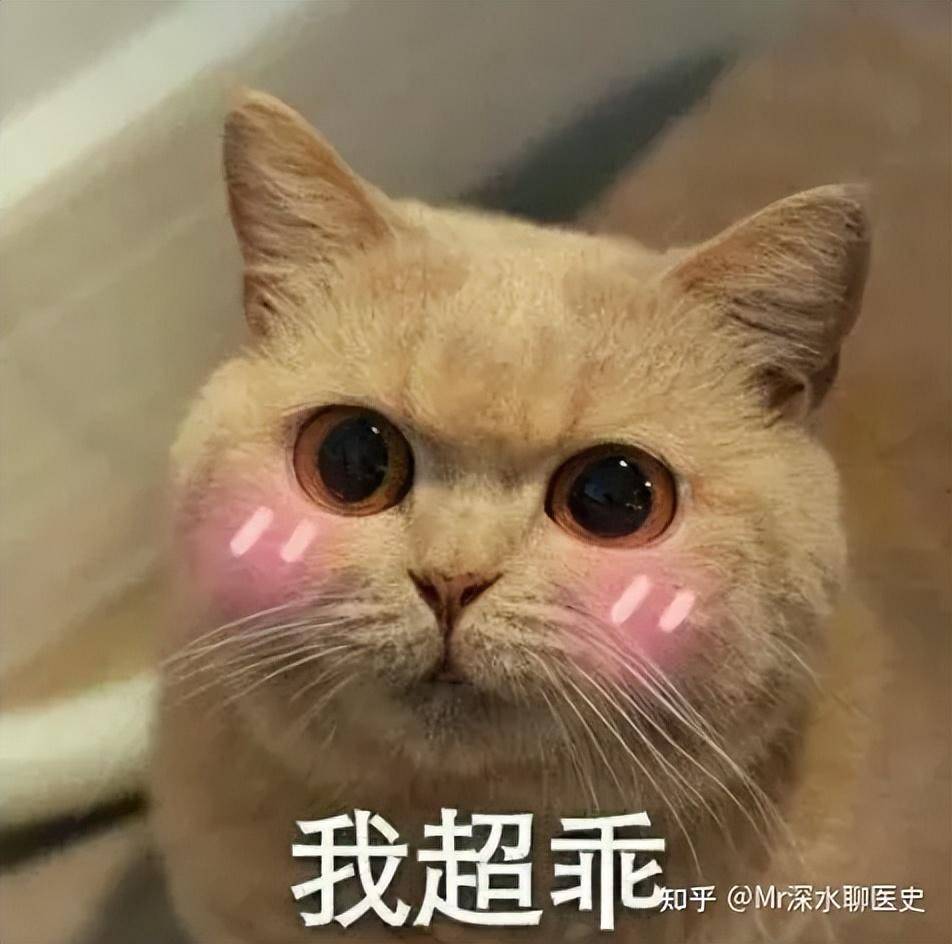 有哪些西医“强加”给中医的概念？-1