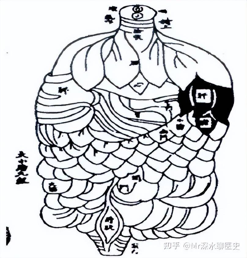 中医为什么没有走向解剖、结构分析的道路? - 万事屋 | 生活·动漫·娱乐综合社区-银魂同好聚集地