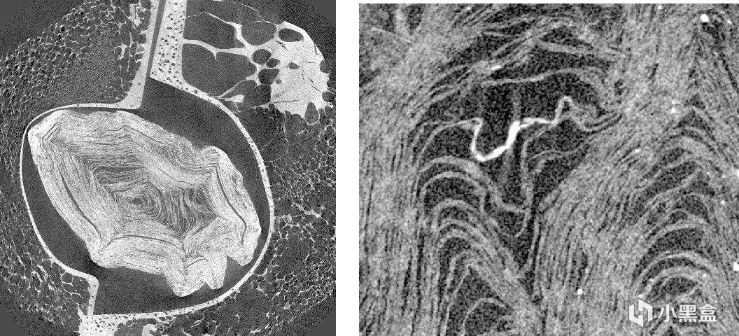 图片[4] - 21岁天才用AI破译2000年前碳化卷轴，分100万美元大奖，登Nature头版！ - 万事屋
