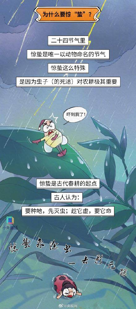图片[2] - 惊蛰当天记得吃梨 - 万事屋