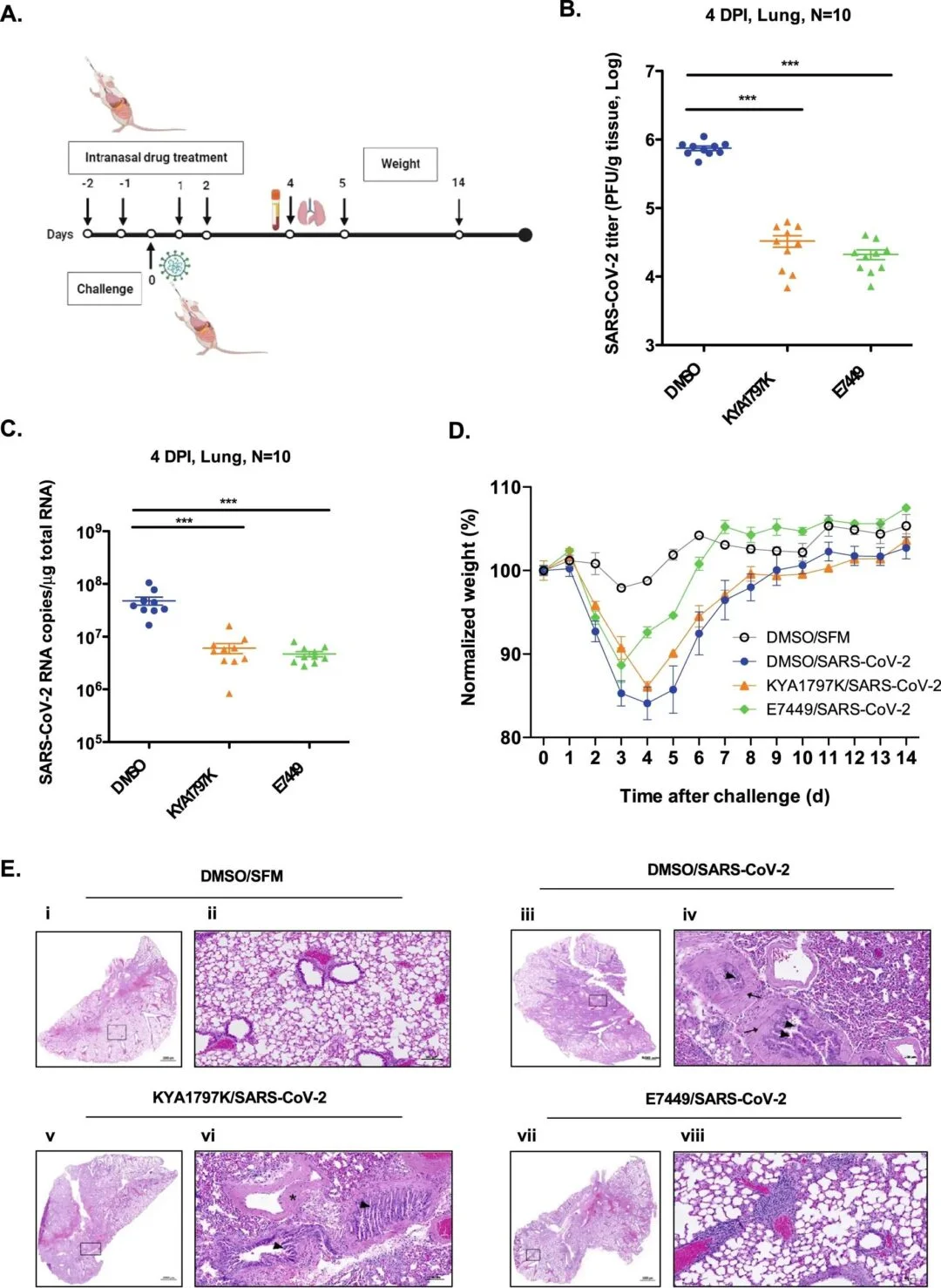 图片[5] - 科学家发现可对抗 COVID-19 的新型抗病毒药物 - 万事屋 | 生活·动漫·娱乐综合社区-银魂同好聚集地