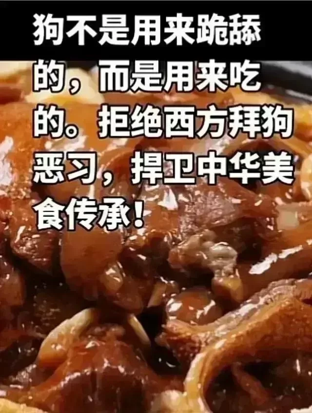 20240330015405861-IMG_2668