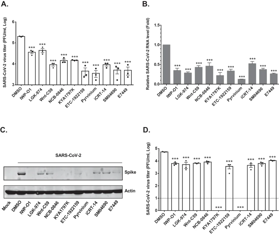 图片[2] - 科学家发现可对抗 COVID-19 的新型抗病毒药物 - 万事屋 | 生活·动漫·娱乐综合社区-银魂同好聚集地