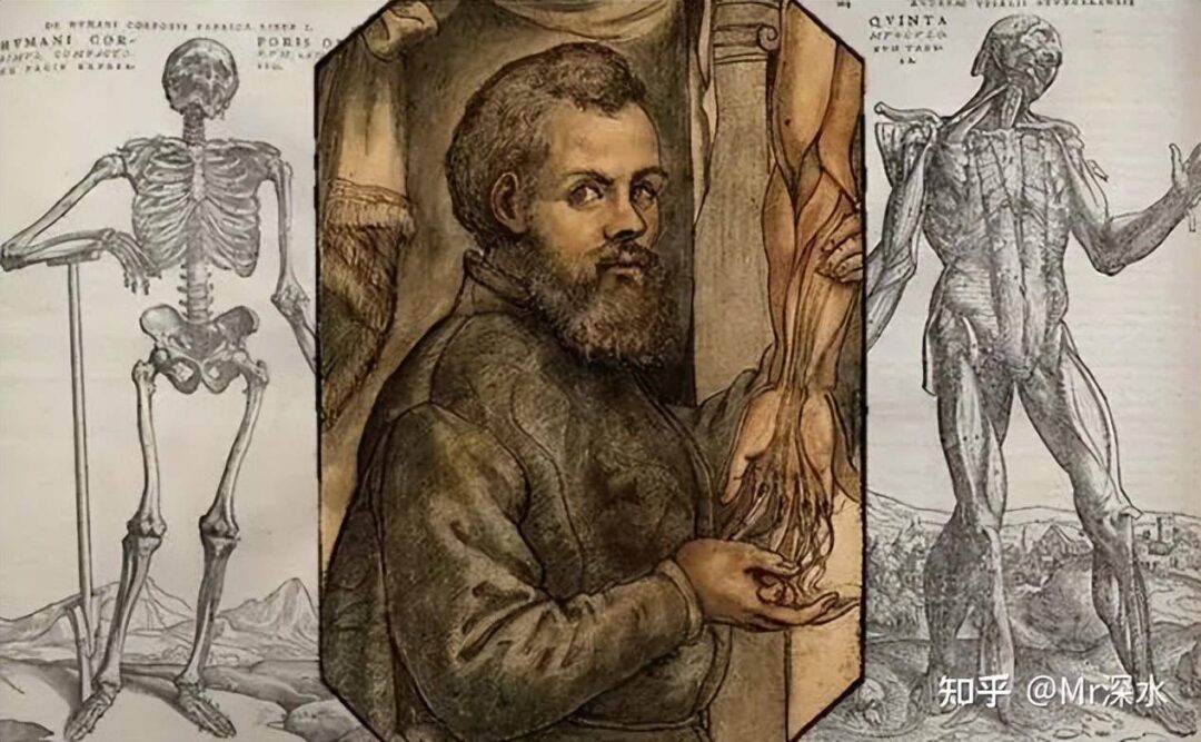 西医理论思想是什么？ - 万事屋 | 生活·动漫·娱乐综合社区-银魂同好聚集地