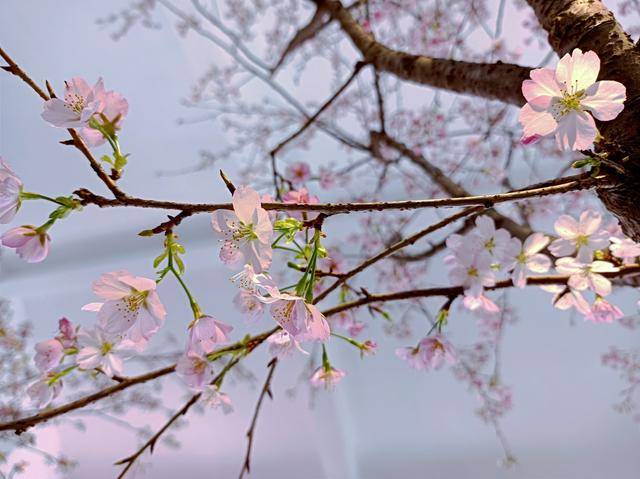 图片[4] - 俗语说“倒春寒来不来，需要看惊蛰”，明日惊蛰，农谚到底咋说的 - 万事屋