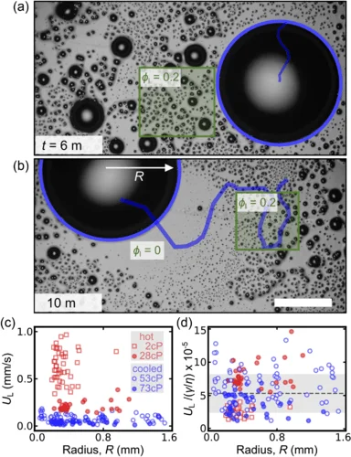 图片[4] - “麦片效应”启发科学家开发出一种更高效的集水系统 - 万事屋 | 生活·动漫·娱乐综合社区-银魂同好聚集地