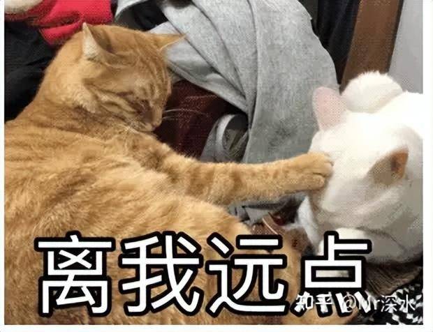 为何有人一边嘲笑印度人喝牛尿治病,一边又热衷于喝中药?-1 为何有人一边嘲笑印度人喝牛尿治病,一边又热衷于喝中药?-1