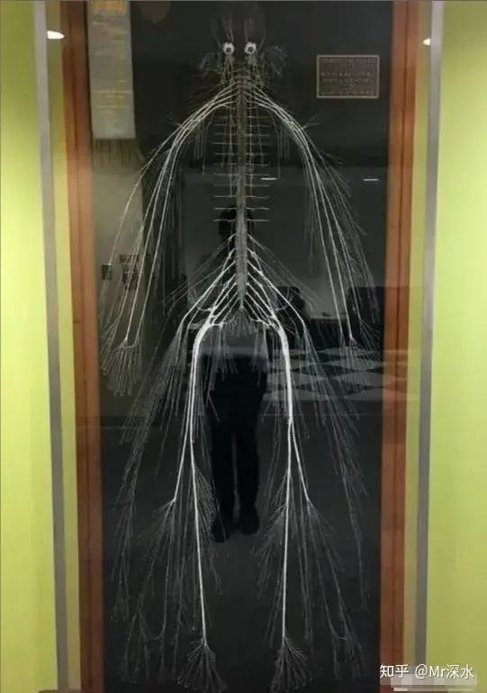 中医西医谁更加科学？-1