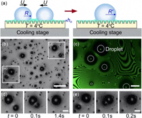图片[2] - “麦片效应”启发科学家开发出一种更高效的集水系统 - 万事屋 | 生活·动漫·娱乐综合社区-银魂同好聚集地