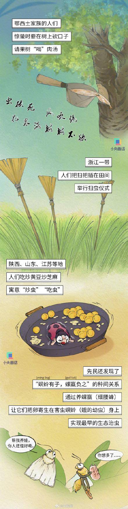 图片[3] - 惊蛰当天记得吃梨 - 万事屋