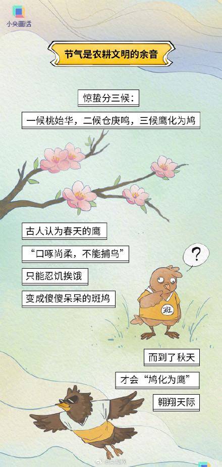 图片[6] - 惊蛰当天记得吃梨 - 万事屋