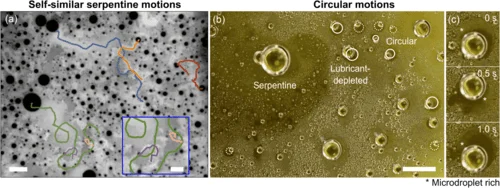 图片[5] - “麦片效应”启发科学家开发出一种更高效的集水系统 - 万事屋 | 生活·动漫·娱乐综合社区-银魂同好聚集地