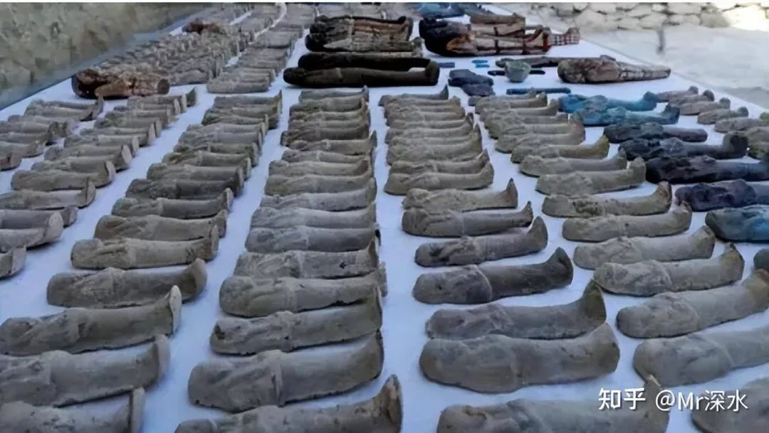 现代中医是否已经大量使用外来动植物入药?-1 现代中医是否已经大量使用外来动植物入药?-1