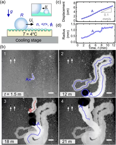 图片[3] - “麦片效应”启发科学家开发出一种更高效的集水系统 - 万事屋 | 生活·动漫·娱乐综合社区-银魂同好聚集地