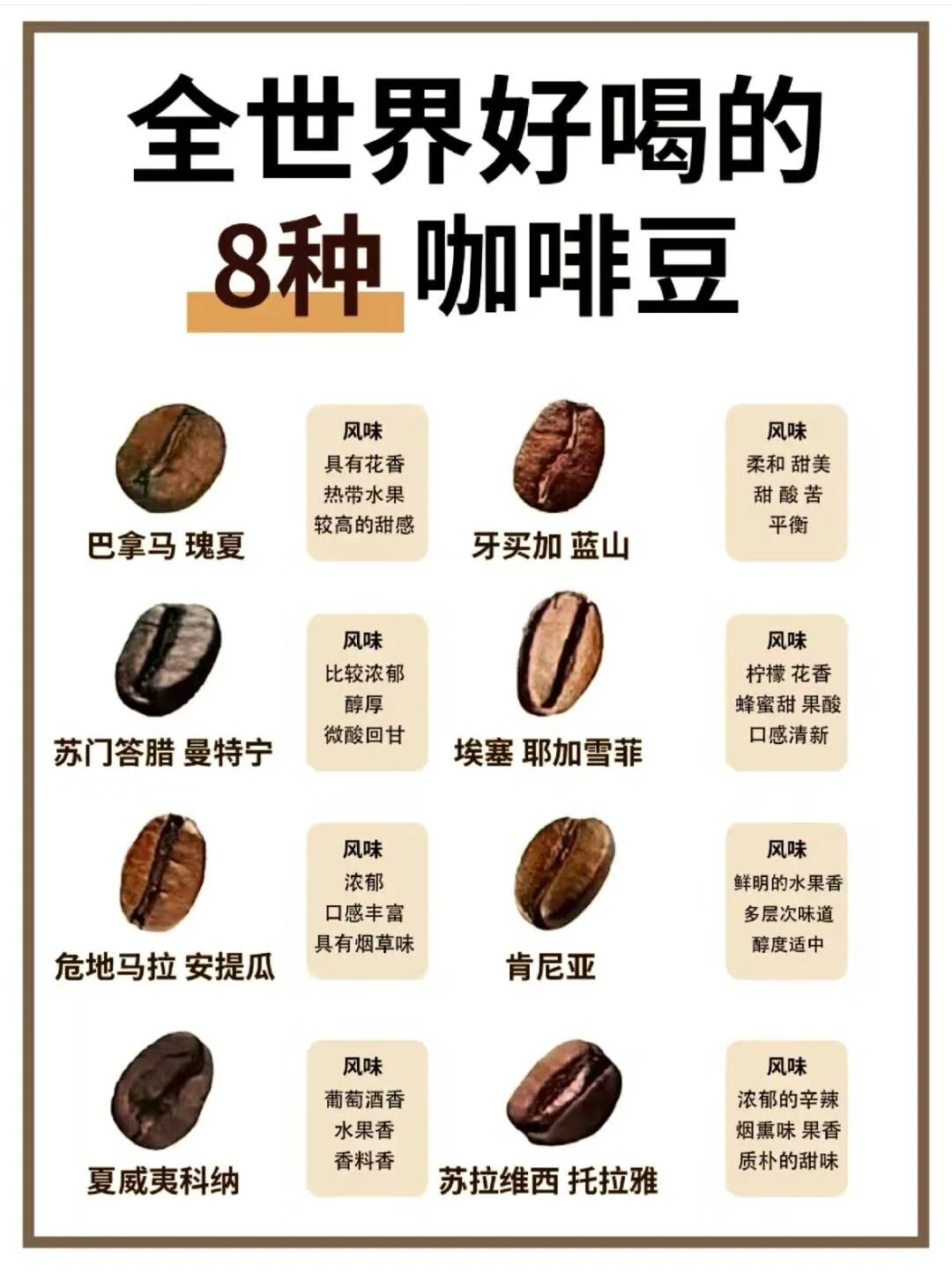 据说全世界最好喝的8种咖啡豆-1