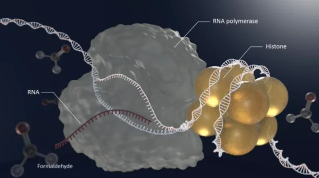 图片[3] - 一喝酒就脸红, 易患癌还早衰? Nature子刊最新研究揭开: 喝酒“上脸”与衰老加速之间的关联 - 万事屋 | 生活·动漫·娱乐综合社区-银魂同好聚集地