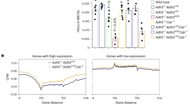 图片[5] - 一喝酒就脸红, 易患癌还早衰? Nature子刊最新研究揭开: 喝酒“上脸”与衰老加速之间的关联 - 万事屋 | 生活·动漫·娱乐综合社区-银魂同好聚集地