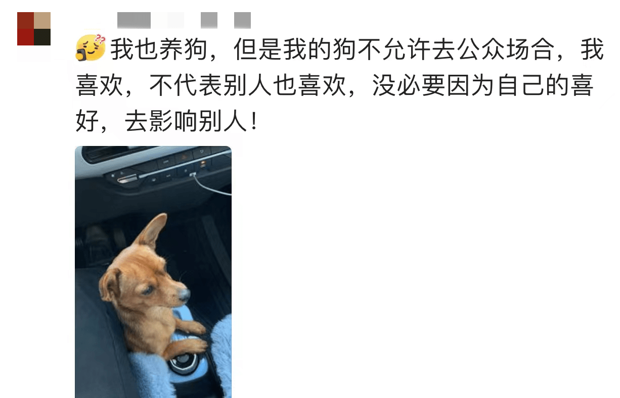 这年头拍视频网暴自己的好像挺多？有个女人(大概)曝光“餐厅不让狗进”冲上热搜 - 万事屋 | 生活·动漫·娱乐综合社区-银魂同好聚集地