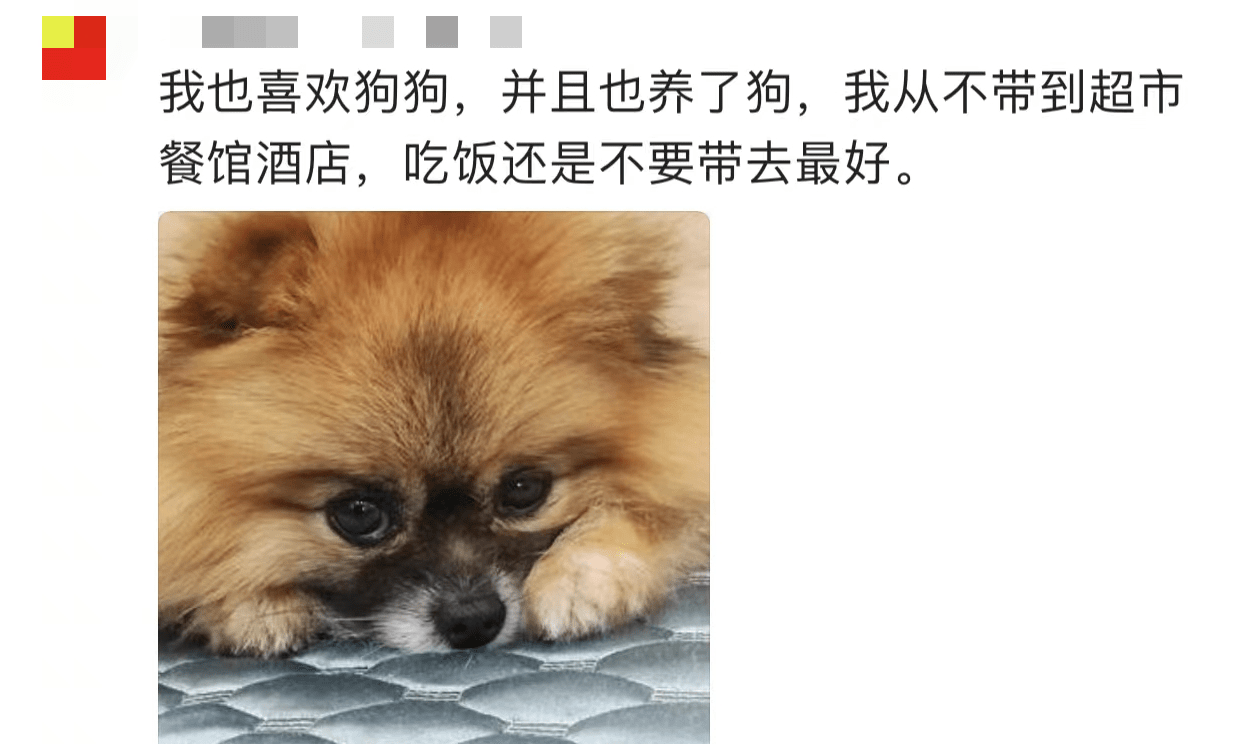 这年头拍视频网暴自己的好像挺多？有个女人(大概)曝光“餐厅不让狗进”冲上热搜 - 万事屋 | 生活·动漫·娱乐综合社区-银魂同好聚集地