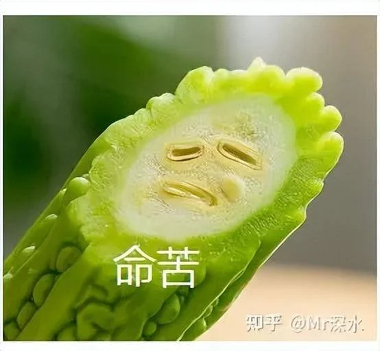 有的人说《黄帝内经》是假的,可为什么还要引用呢?-1 有的人说《黄帝内经》是假的,可为什么还要引用呢?-1
