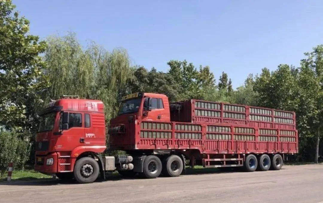 1000Mbps换算成MB/s是多少?除以8?想简单了-1 1000Mbps换算成MB/s是多少?除以8?想简单了-1