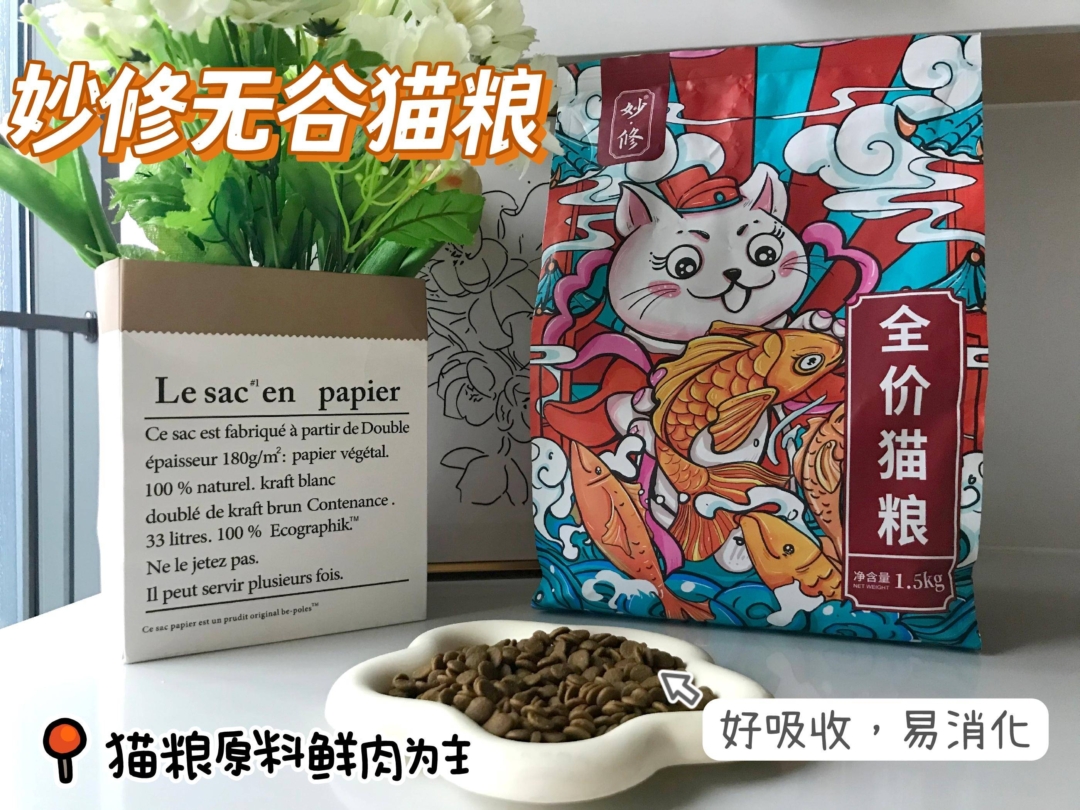 据说这六种猫颜值高且比狗还忠诚-1