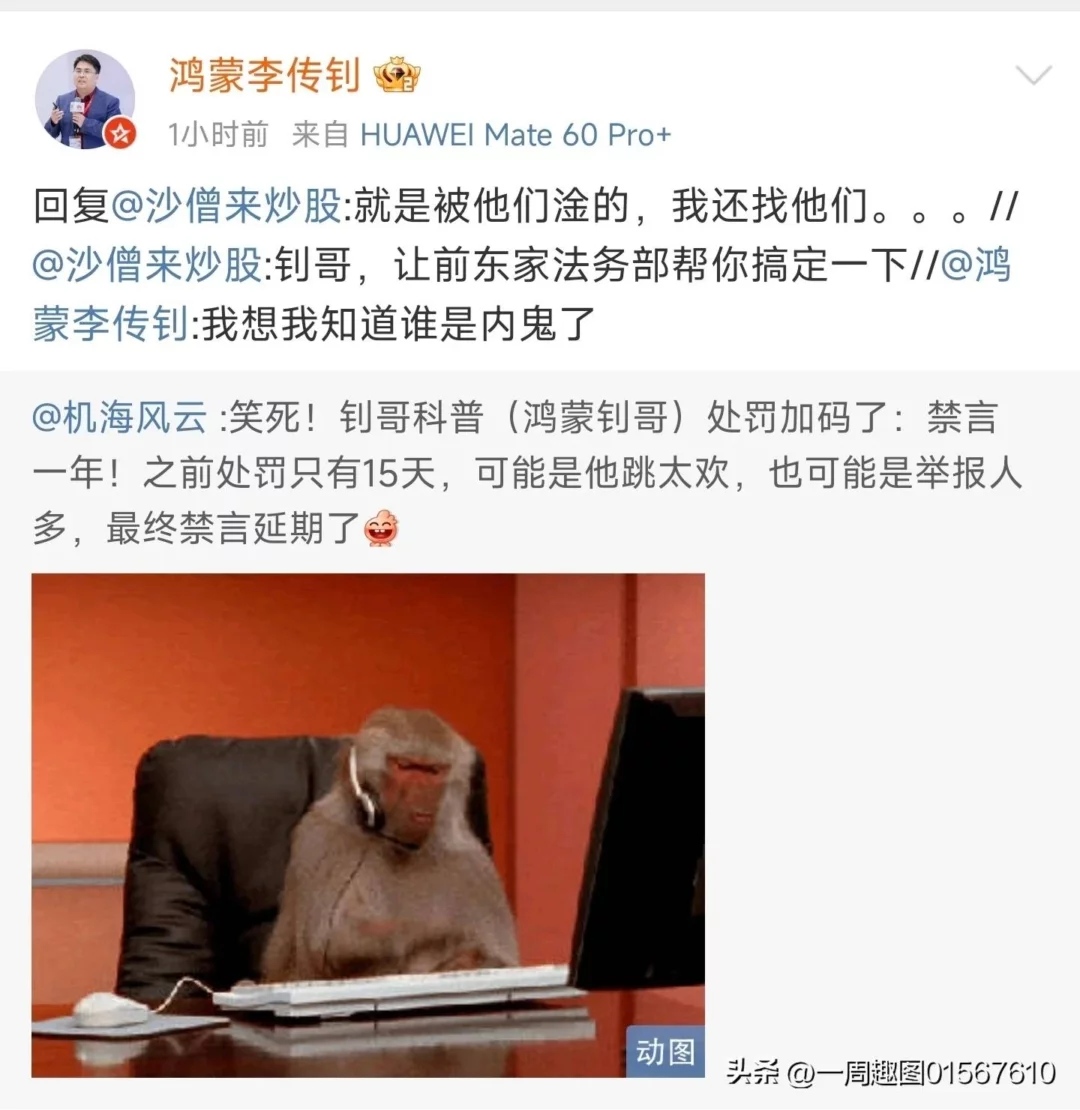 鸿蒙钊哥被禁言一年，然后呢？-1