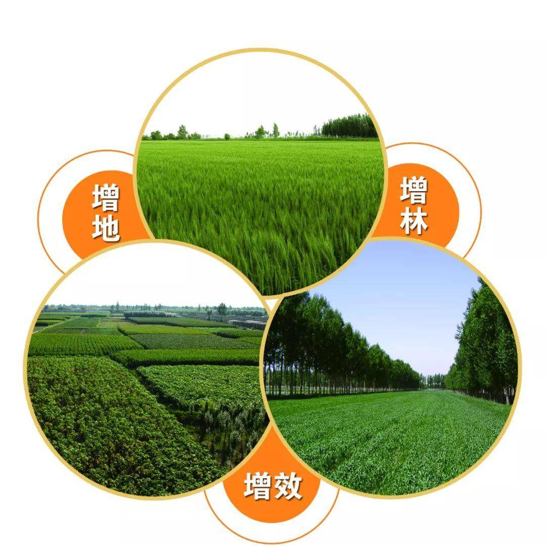 图片[12] - 【转载】谁在操纵内蒙古”地契门”?一起深究这出乱象的起因 - 万事屋