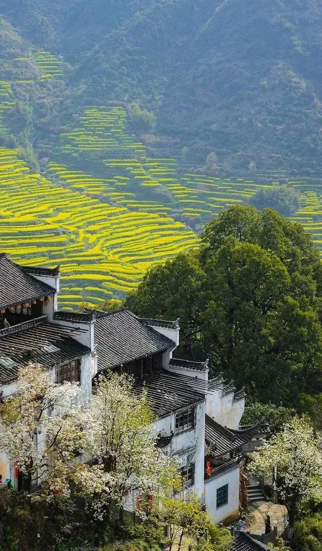 这下傻眼了吧!江西民宿被大量退房损失惨重,旅游业正遭受巨大打击-1 这下傻眼了吧!江西民宿被大量退房损失惨重,旅游业正遭受巨大打击-1