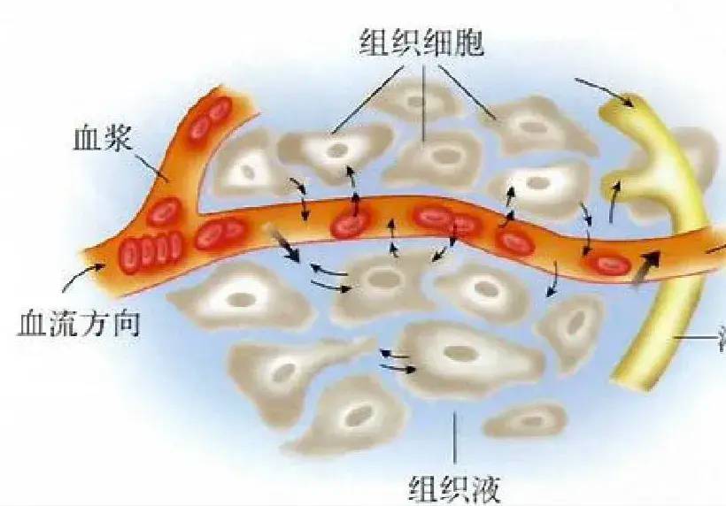 图片[2] - 张洪林博士的吐槽：张维波董小华医学白丁外行班门弄斧露怯出丑的国际笑话揭秘 - 万事屋