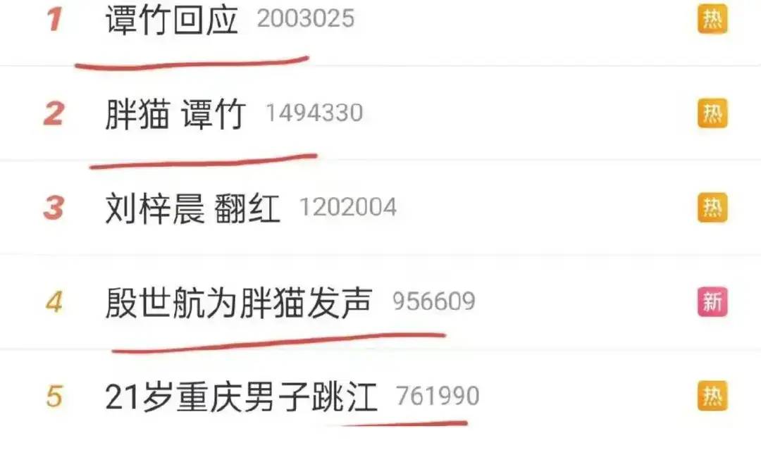 图片[26] - 【转】胖猫跳江悲剧：女友称已退13万，将起诉不实言论，网友悼念遇诈骗 - 万事屋
