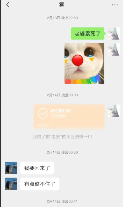 图片[5] - 【转】胖猫跳江悲剧：女友称已退13万，将起诉不实言论，网友悼念遇诈骗 - 万事屋