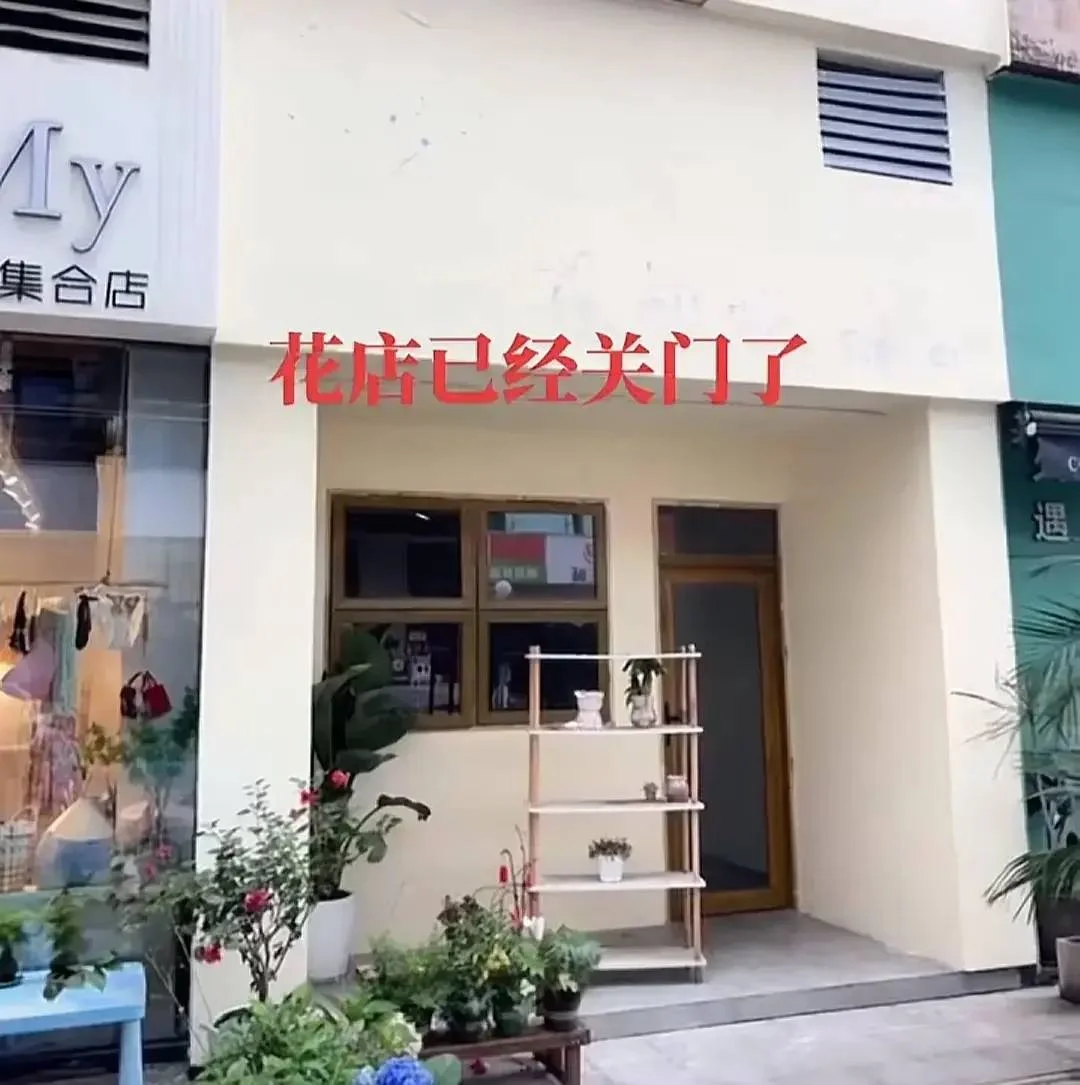 图片[19] - 【转】胖猫跳江悲剧：女友称已退13万，将起诉不实言论，网友悼念遇诈骗 - 万事屋 | 生活·动漫·娱乐综合社区-银魂同好聚集地