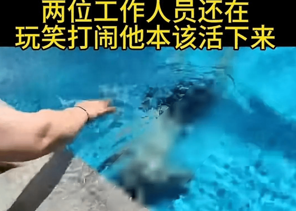 图片[8] - 哎，郑州游泳馆教练溺亡，队友全程录像不去施救，家属情绪崩溃 - 万事屋