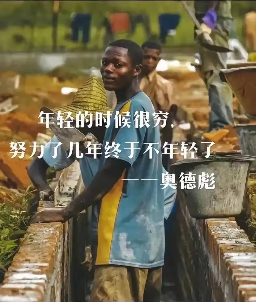 奥德彪反“鸡汤”语录-1
