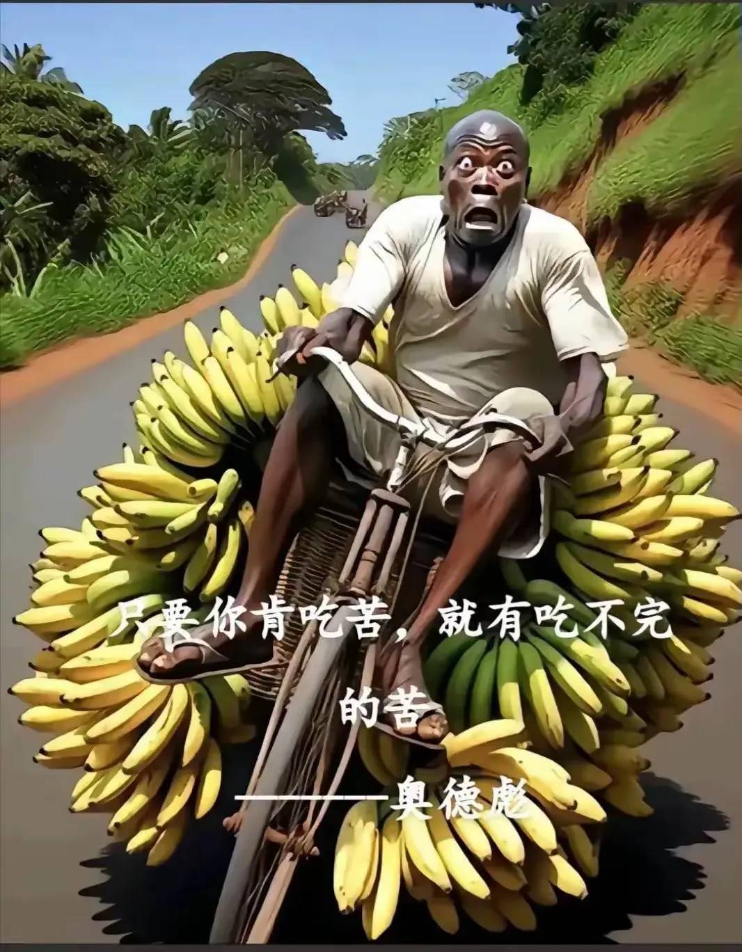 奥德彪反“鸡汤”语录-1