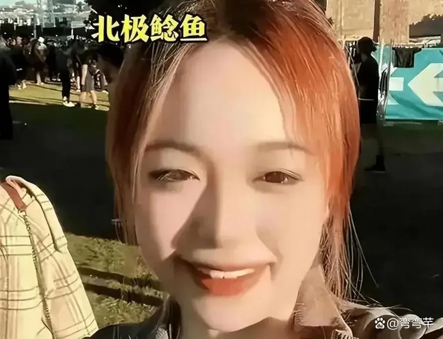 铁头终究只是为了流量找软柿子捏-1