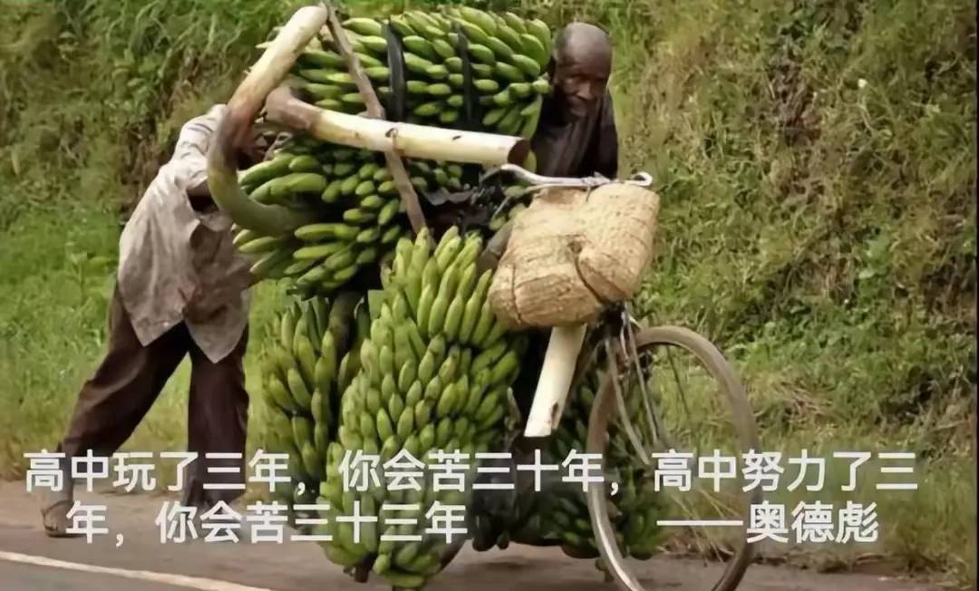 奥德彪反“鸡汤”语录 - 万事屋 | 生活·动漫·娱乐综合社区-银魂同好聚集地