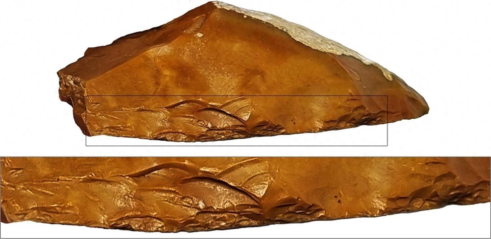 考古学家发现40万年前的燧石工具 这改变了史前狩猎方式 - 万事屋 | 生活·动漫·娱乐综合社区-银魂同好聚集地