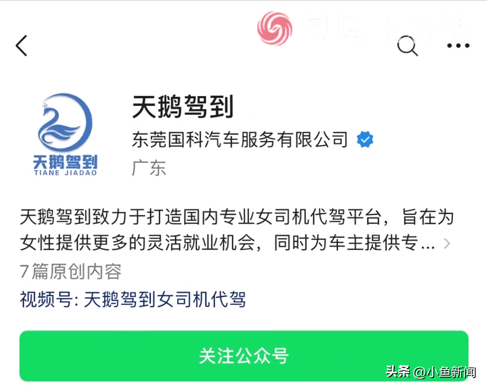 图片[2] - 天鹅驾到回应女代驾涉黄：已报警，将追究造谣者责任 - 万事屋