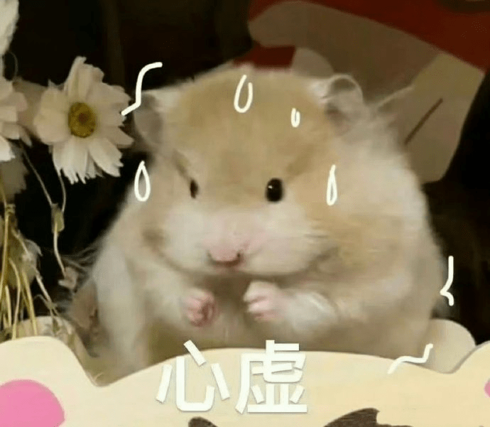 20240702002659164-image