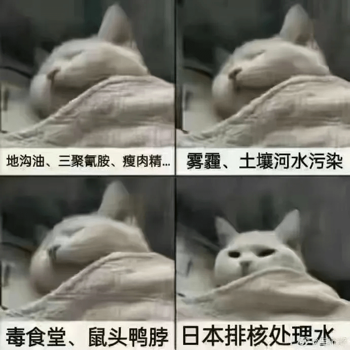 都是同一批人 - MADAO银魂 - 大众生活 - 万事屋 | 生活·动漫·娱乐综合社区-银魂同好聚集地
